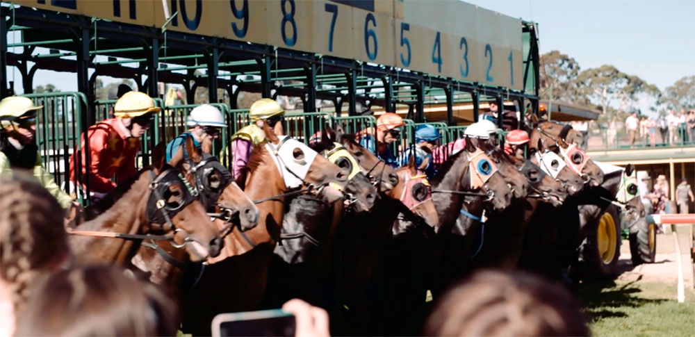 Gaming in Oakbank Racecourse Oakbank Gaming