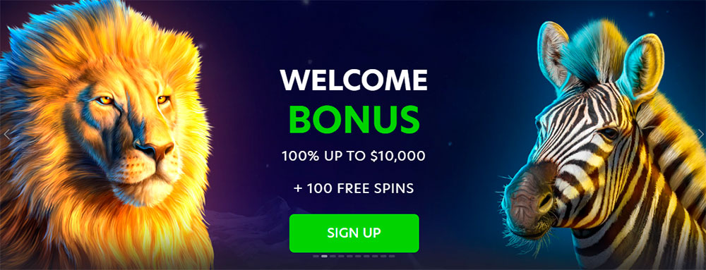 Welcome Bonus NeoSpin Casino NeoSpin Casino Welcome Bonus