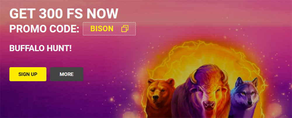 Promo Shares Olympia Casino Olympia Casino promotions