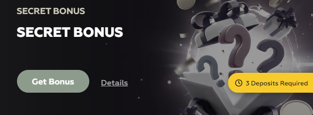 Playfina Secret Bonus